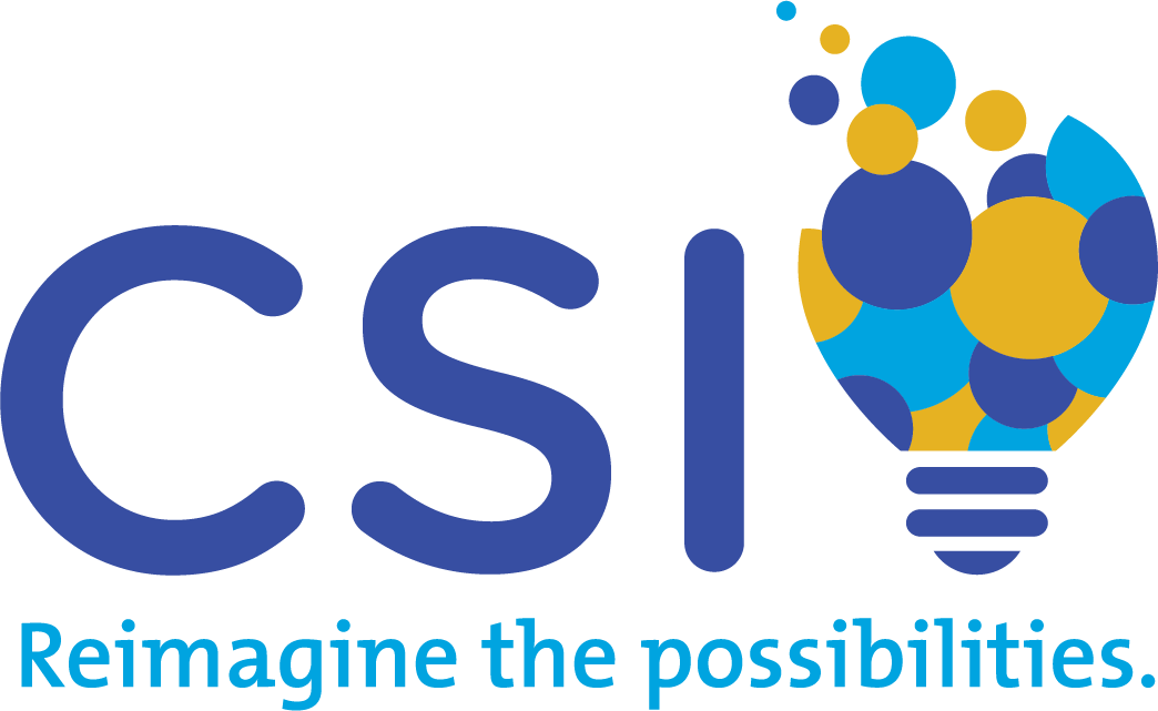 Computer System Innovations (CSI)